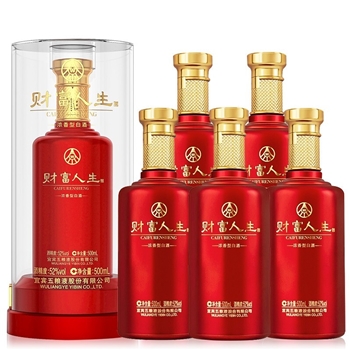 财富人生-珍酿（红瓶）