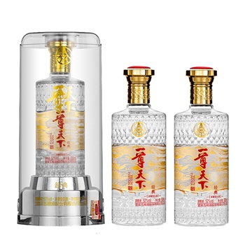五粮液 一尊天下经典亚克力 双瓶装