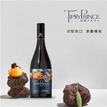 刺梨酒 双支装