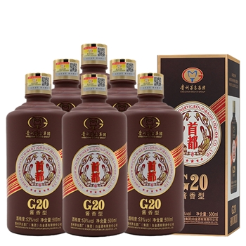 茅台集团首都G20