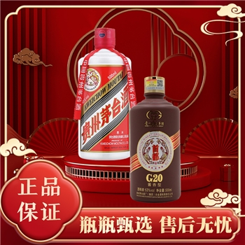 茅台集团 首都G20配茅台飞天969